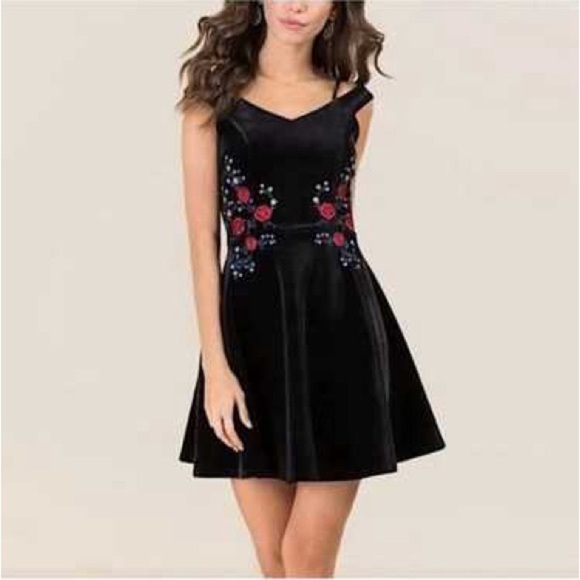 Francesca's Collections Dresses & Skirts - Francesca's Black Velvet Dress with Floral Embroidery. Size Medium